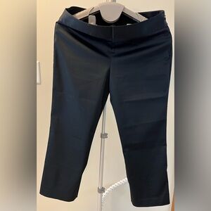 The Limited Stretch Capris Pants